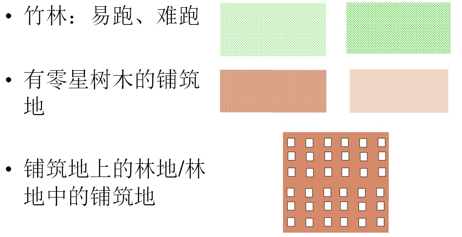 定向越野知识4植被符号及实例详解