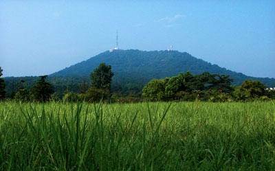 大蜀山森林公园风景区