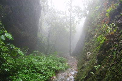 紫荆山