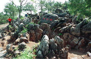 元古奇石林风景区