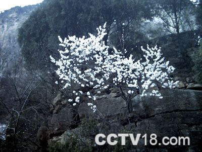 天桂山风景图