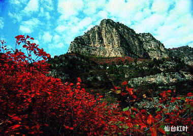 仙台山风景图