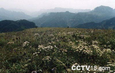 邢台紫金山旅游区风景图