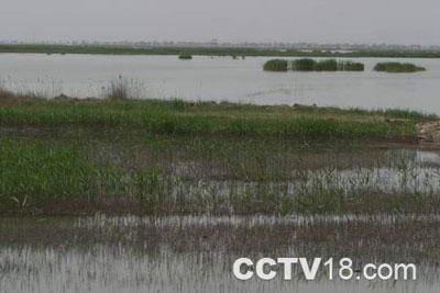 莫力庙沙湖旅游区风景图