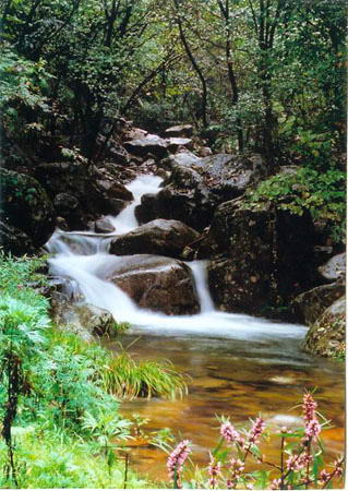 龙潭沟风景区