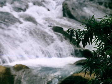 石棉田湾河风景名胜区