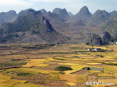 万峰林