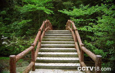 雷公山国家森林公园风景图