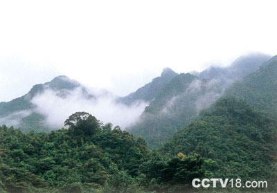 桂峰山